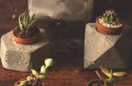 סדנת פיסול בבטון | 3.12.20